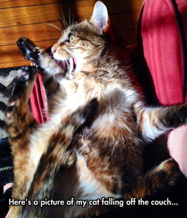 At the Right Moment. Part 35 (46 pics)