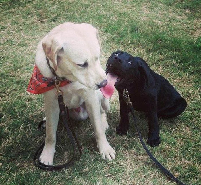 At the Right Moment. Part 35 (46 pics)
