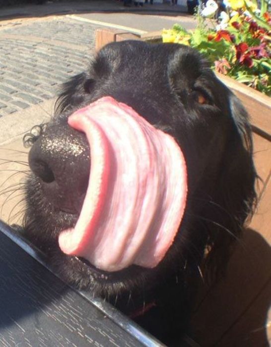 At the Right Moment. Part 35 (46 pics)