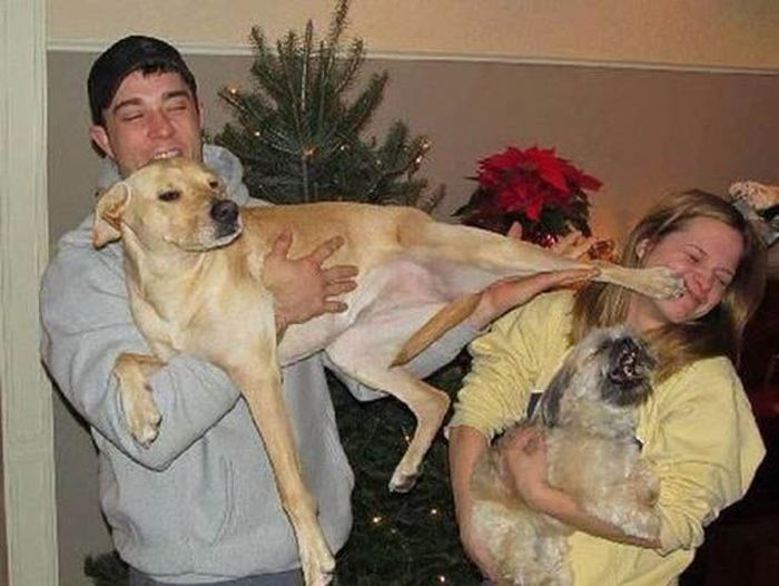 At the Right Moment. Part 35 (46 pics)