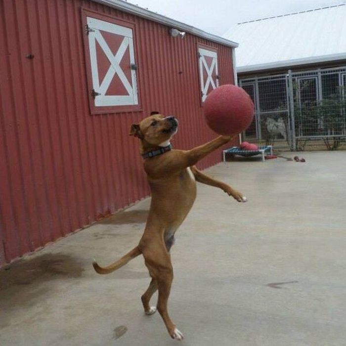 At the Right Moment. Part 35 (46 pics)
