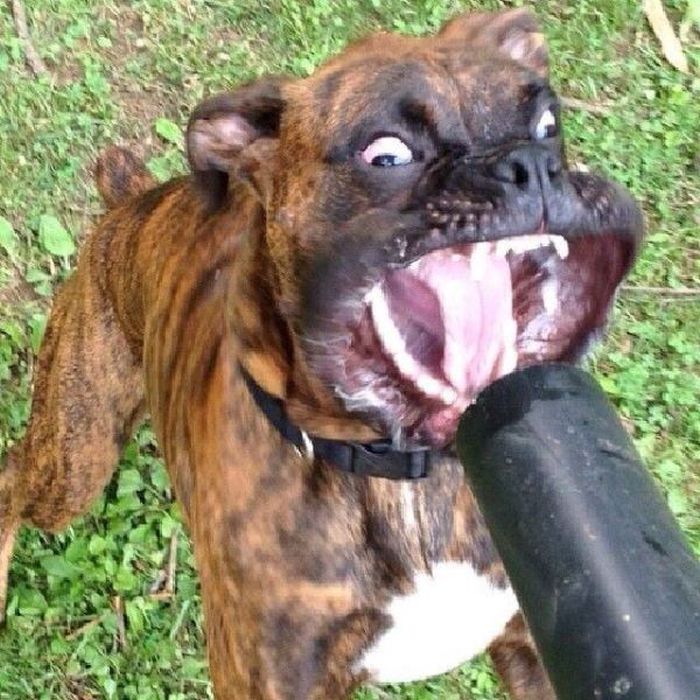 At the Right Moment. Part 35 (46 pics)