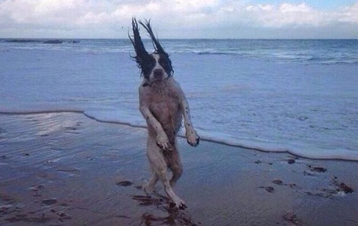 At the Right Moment. Part 35 (46 pics)