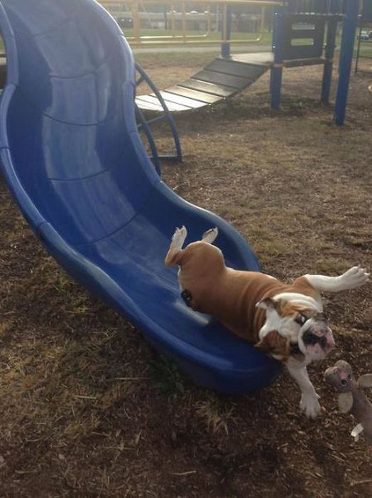 At the Right Moment. Part 35 (46 pics)