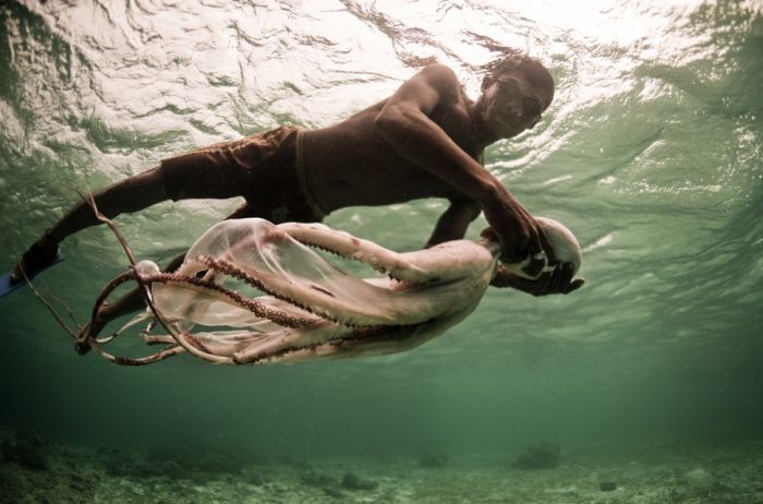 A Life On The Sea (43 pics)