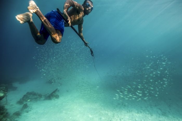 A Life On The Sea (43 pics)