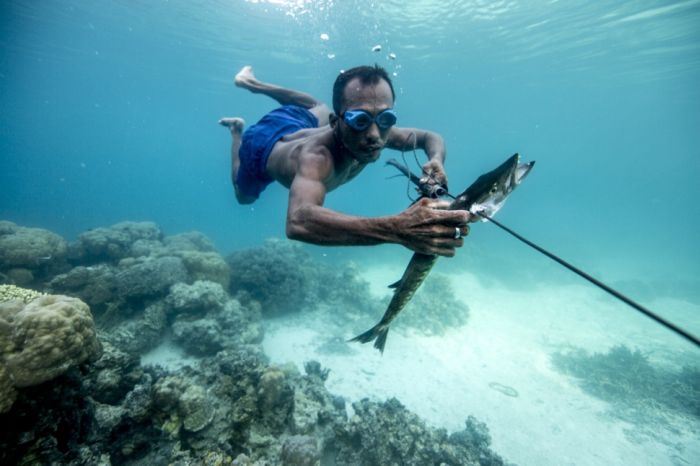 A Life On The Sea (43 pics)