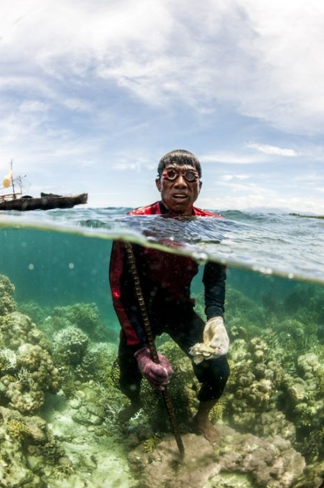 A Life On The Sea (43 pics)
