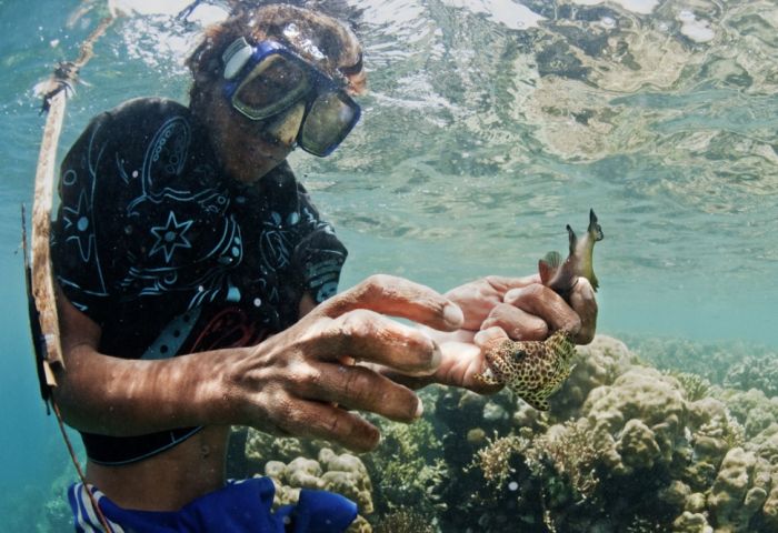 A Life On The Sea (43 pics)