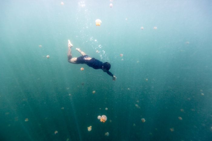 A Life On The Sea (43 pics)
