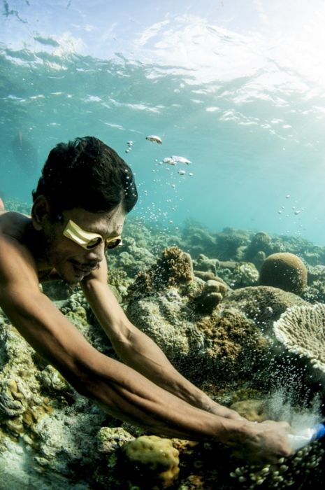 A Life On The Sea (43 pics)