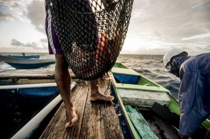 A Life On The Sea (43 pics)