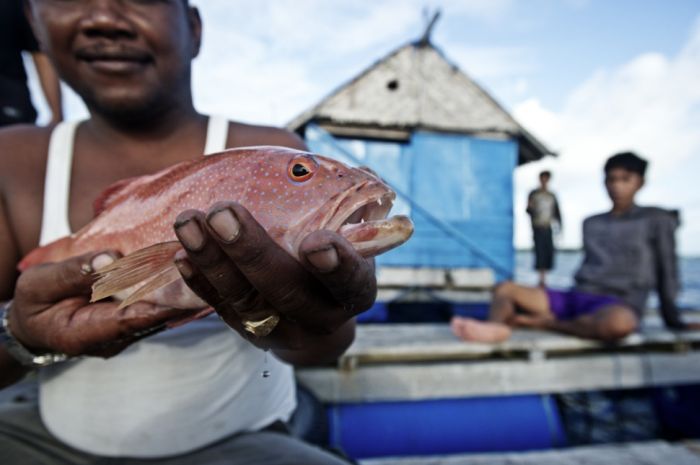 A Life On The Sea (43 pics)