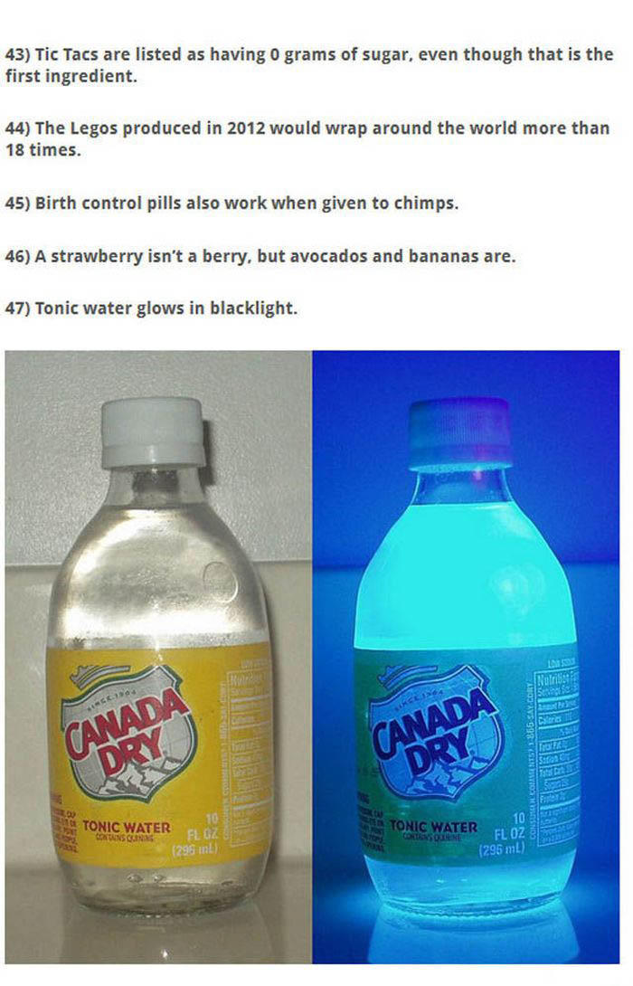 Awesome Observations About Everyday Items (12 pics)