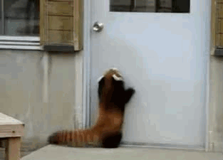 Did It Ever Happen to You When... Part 95 (16 gifs)