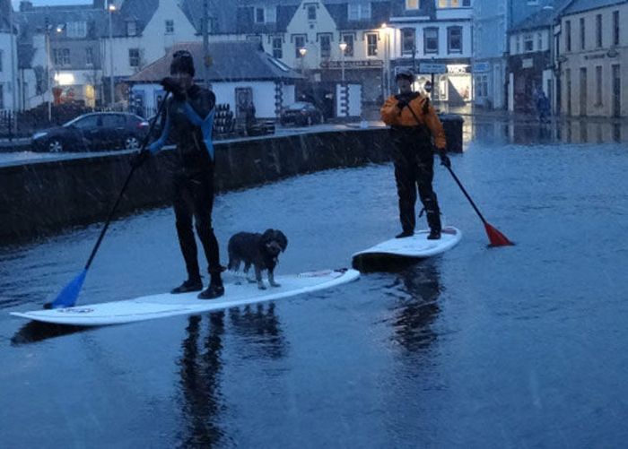 Things You Will Only See In Scotland (44 pics)