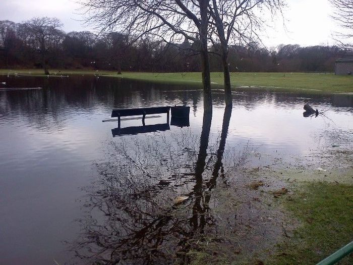 Things You Will Only See In Scotland (44 pics)