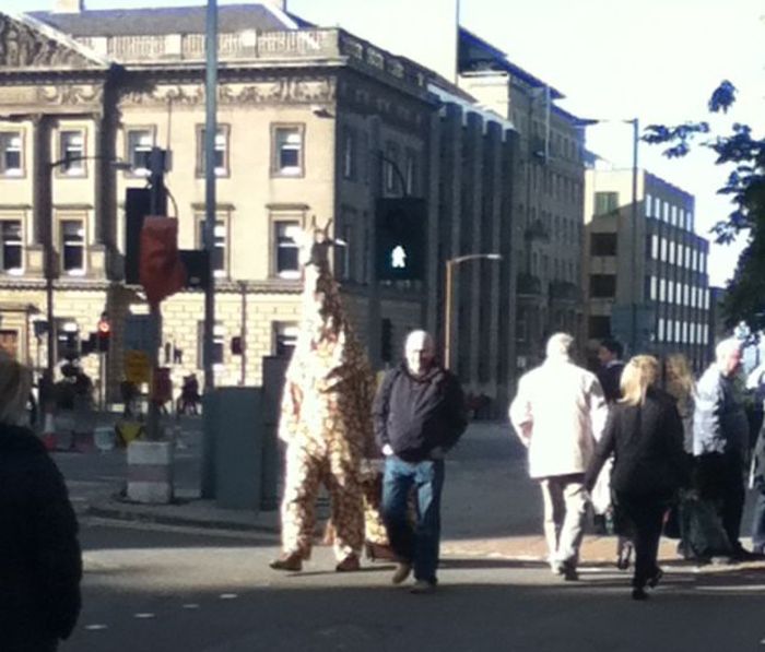 Things You Will Only See In Scotland (44 pics)