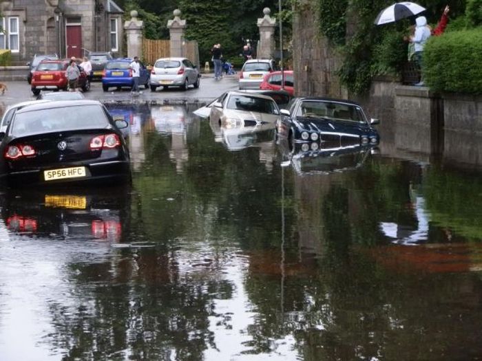 Things You Will Only See In Scotland (44 pics)