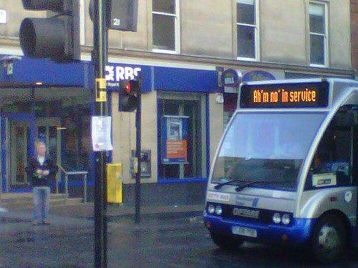 Things You Will Only See In Scotland (44 pics)