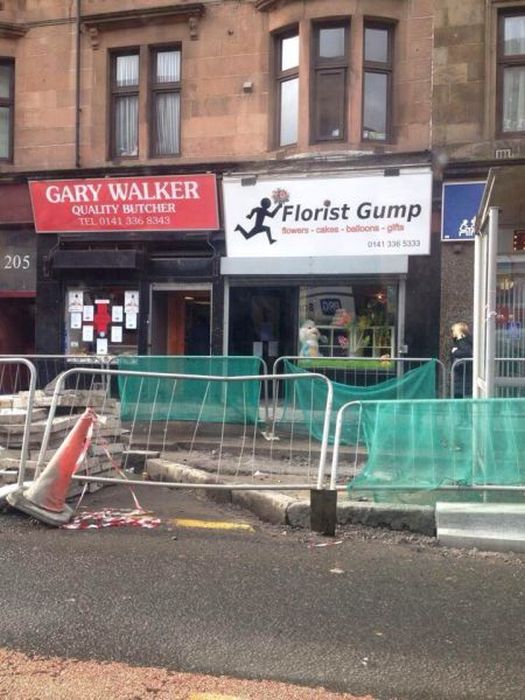 Things You Will Only See In Scotland (44 pics)