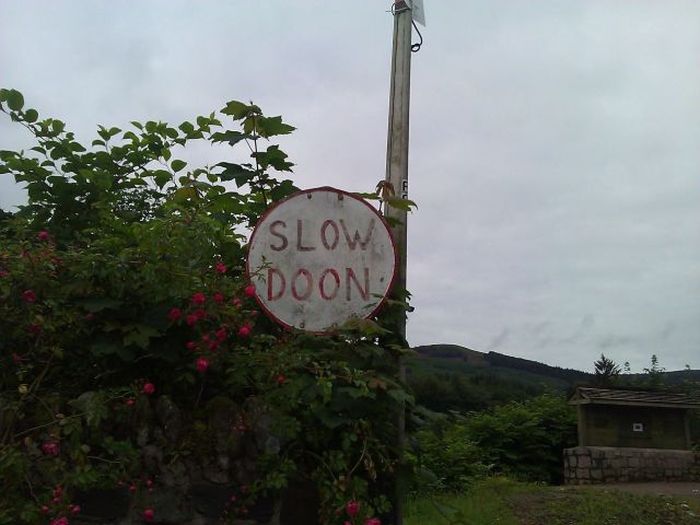 Things You Will Only See In Scotland (44 pics)
