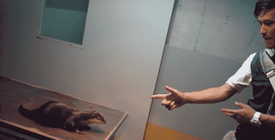 These May Be The Coolest Otters Ever (22 gifs)