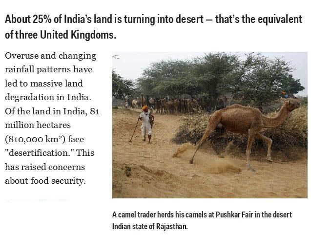Totally Mind Blowing Facts About India (16 pics)