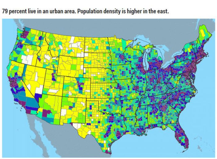 Real Stats About Real Americans (14 pics)