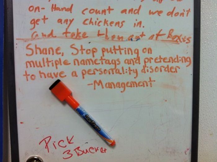 Shane Teaches You How To Do Work Right (12 pics)