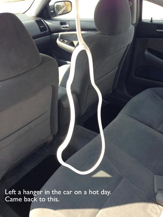 You Know It's Too Hot Outside When (26 pics)