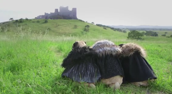 Pugs of Westeros - 'Game of Thrones' Parody