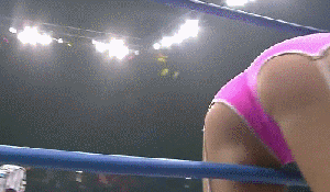 WWE Divas Are A Sight For Sore Eyes (50 gifs)