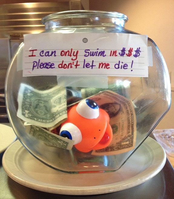 These Tip Jars Will Definitely Get Money 22 Pics 