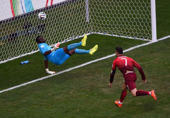 Best Goals Of The World Cup 2014 (22 pics)