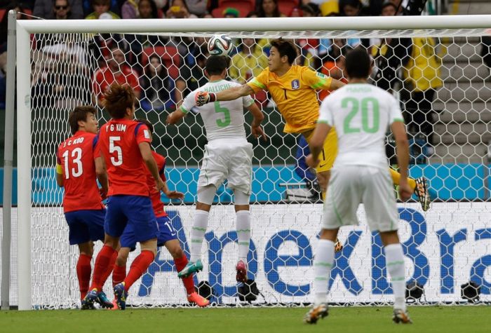 Best Goals Of The World Cup 2014 (22 pics)