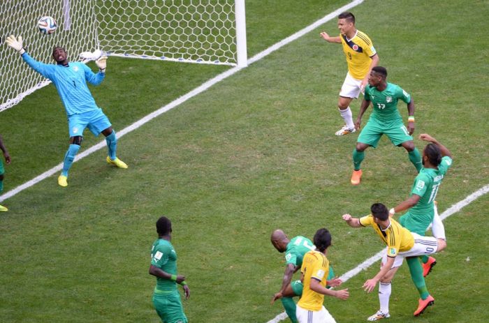 Best Goals Of The World Cup 2014 (22 pics)