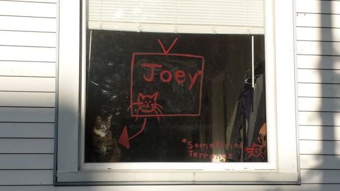 Acid Picdump (124 pics)