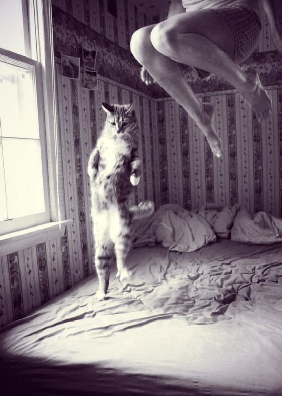 Acid Picdump (124 pics)