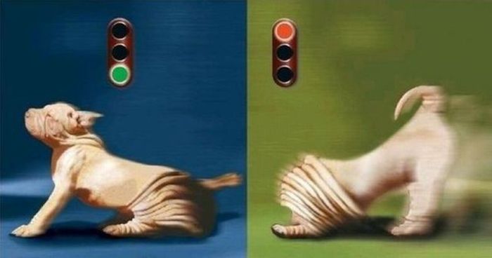 Acid Picdump (124 pics)