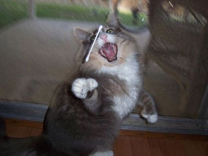 Acid Picdump (124 pics)