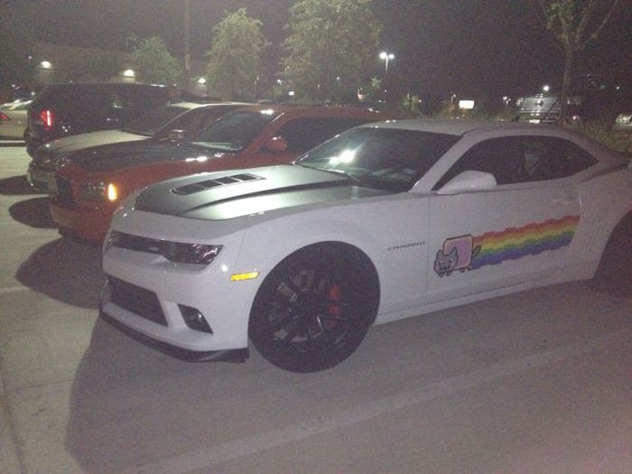 Acid Picdump (124 pics)