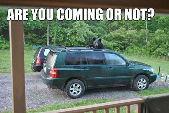 Acid Picdump (124 pics)