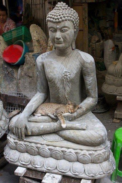Acid Picdump (124 pics)