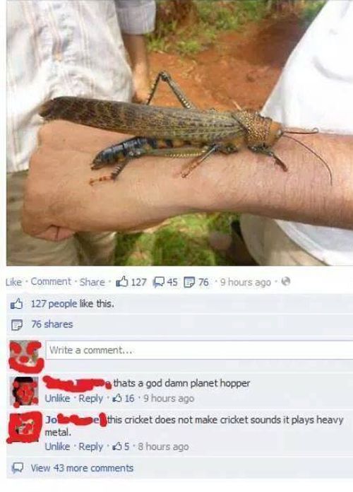 Acid Picdump (124 pics)