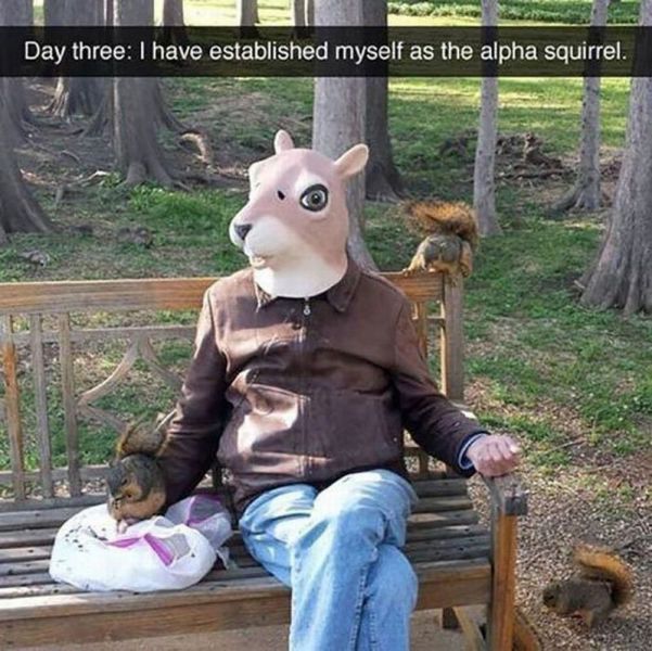 Acid Picdump (124 pics)