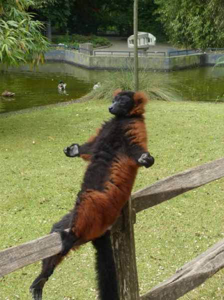Acid Picdump (124 pics)