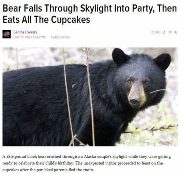 Acid Picdump (124 pics)