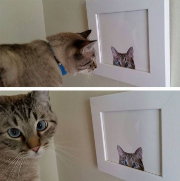 Acid Picdump (124 pics)