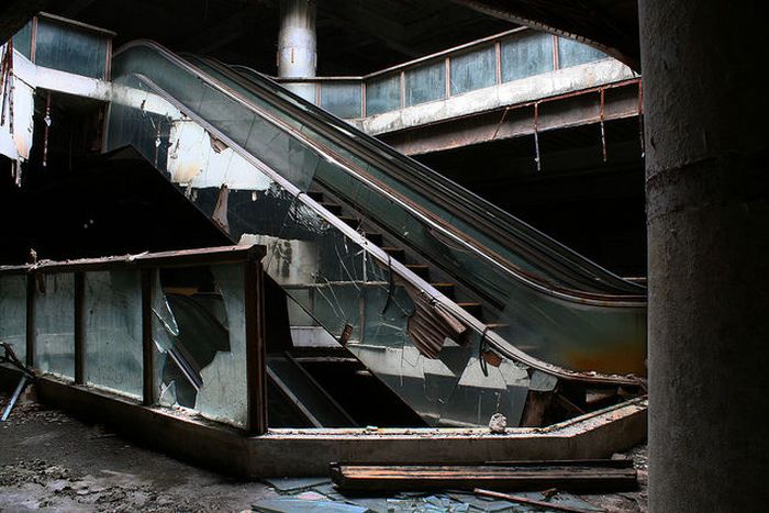 Look Who Moved Into This Abandoned Mall (15 pics)